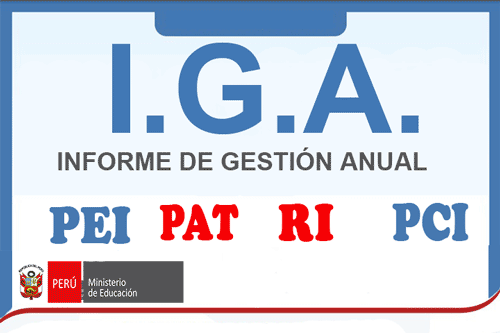Vista del sistema — dashboard IGA